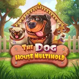 The Dog House Multihold game at BOF Casino for United Kingdom players